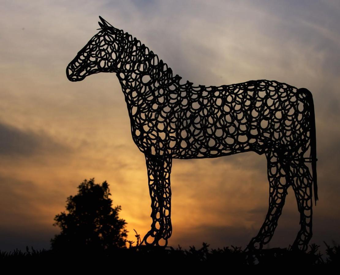 The Curragh Country House Accommodation 쥬브리지 외부 사진