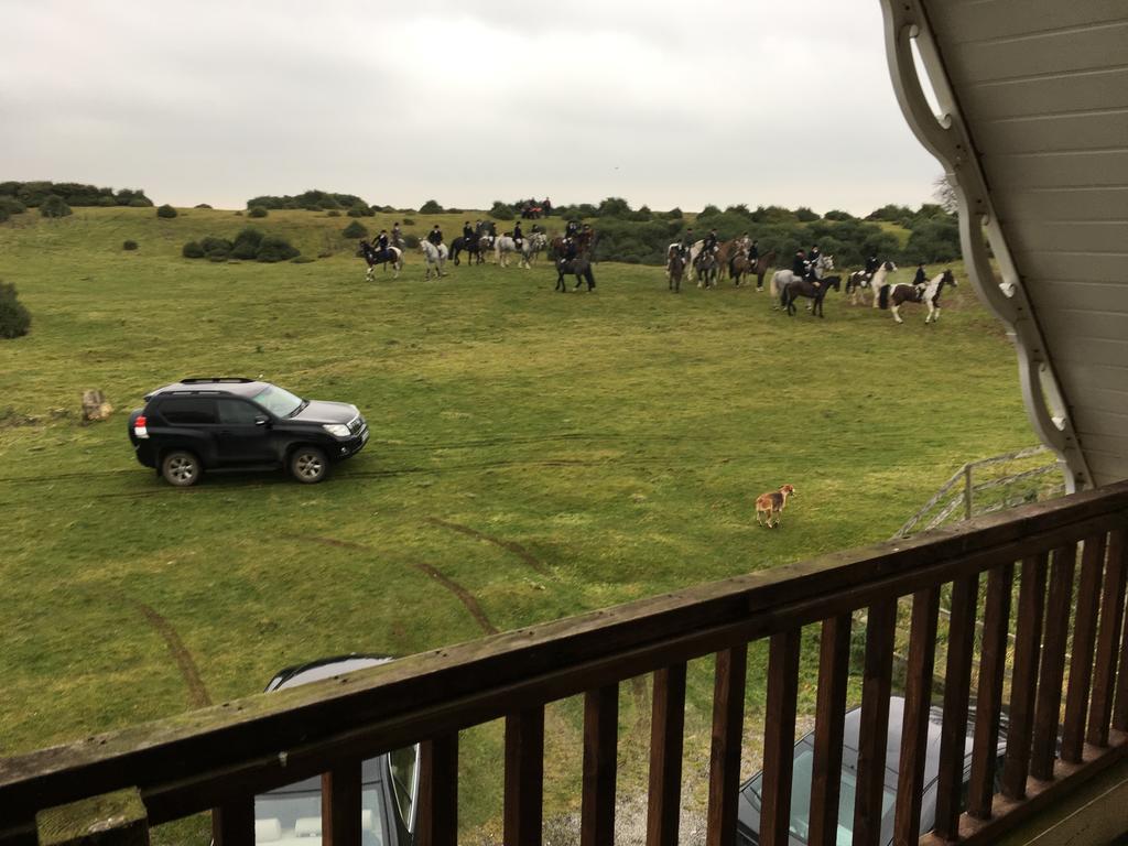 The Curragh Country House Accommodation 쥬브리지 외부 사진