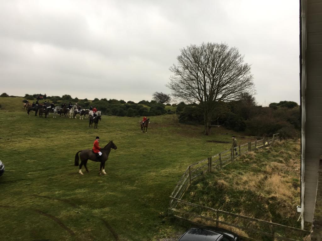 The Curragh Country House Accommodation 쥬브리지 외부 사진